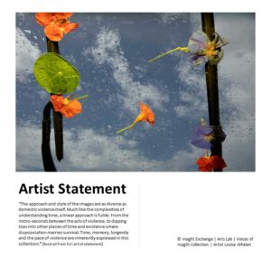 Voices of Insight Collection - Artist Statement