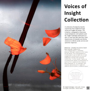 Voices of Insight Collection PDF Cover